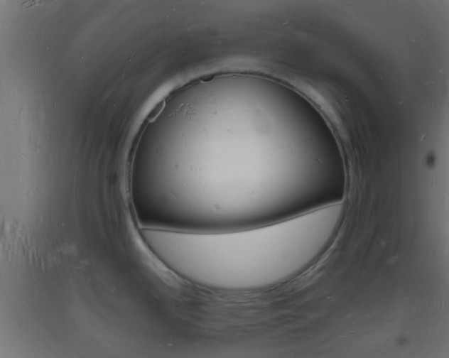 X0000093721342200710160742