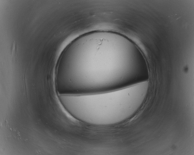X0000093721343200710160742