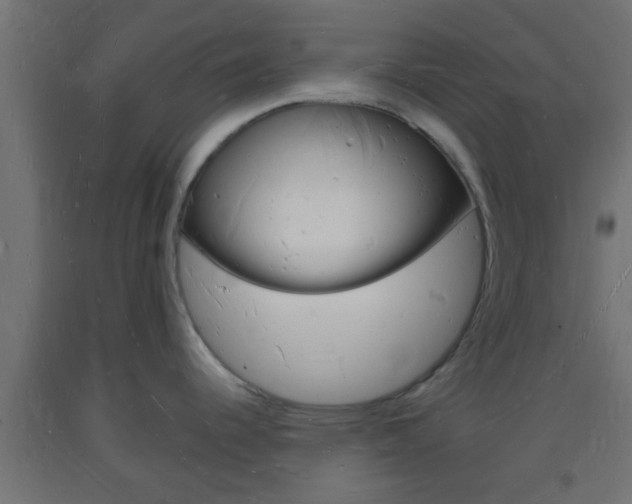 X0000093721344200710160742