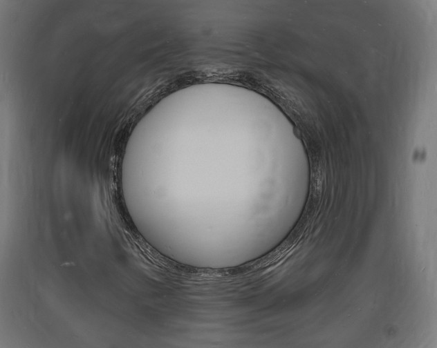 X0000093721346200710160741
