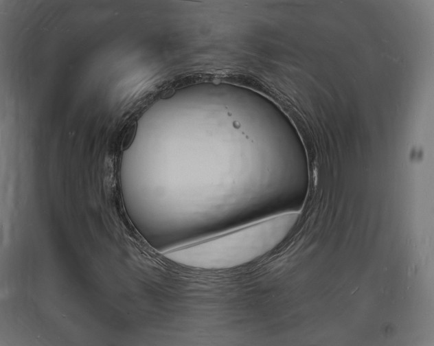 X0000093721347200710160741