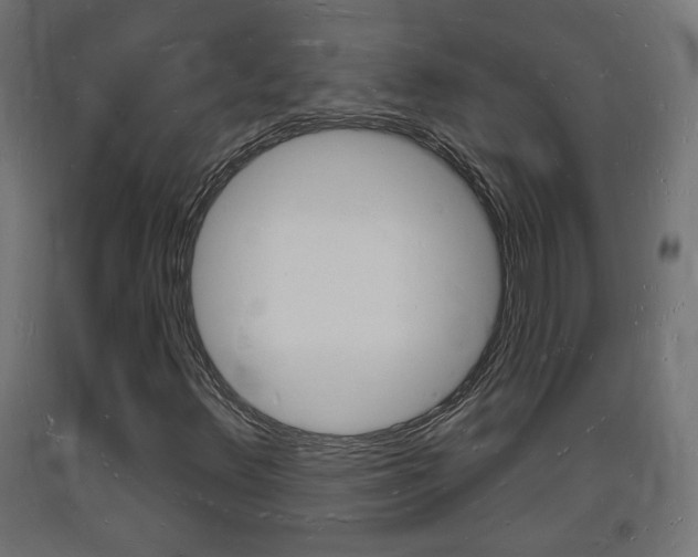 X0000093721348200710160741