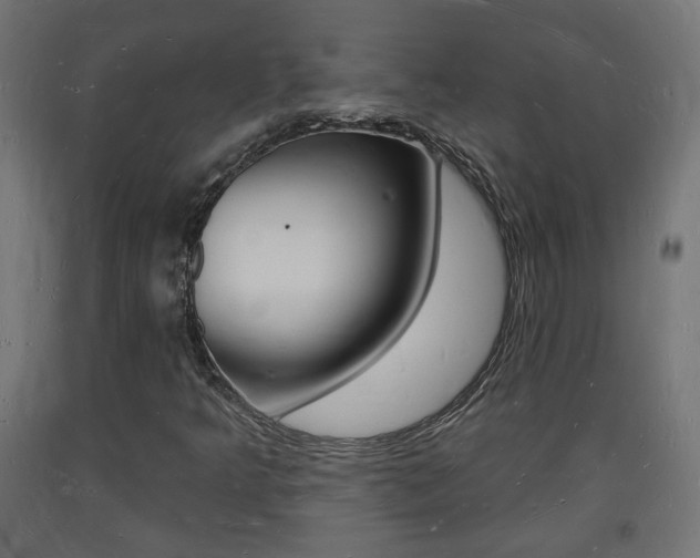 X0000093721349200710160741