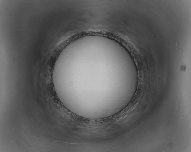 X0000093721350200710160741