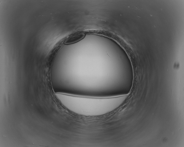 X0000093721351200710160741