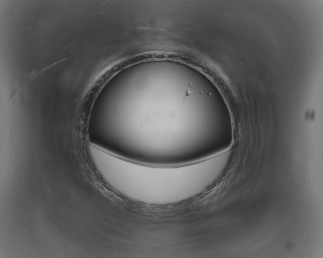 X0000093721352200710160741
