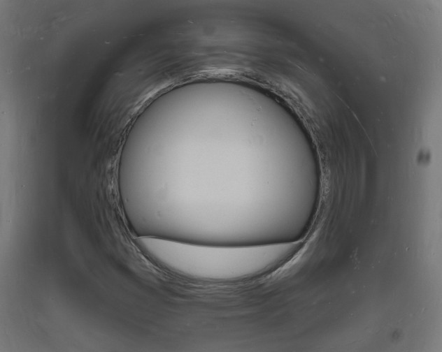 X0000093721353200710160741