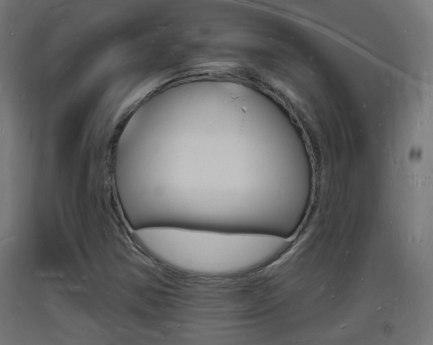 X0000093721354200710160741