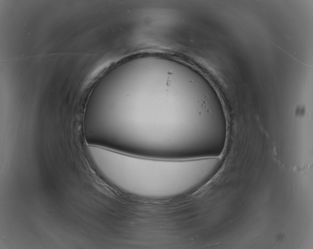 X0000093721355200710160741