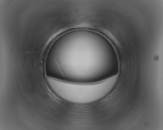 X0000093721356200710160741
