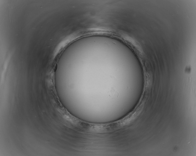 X0000093721357200710160741