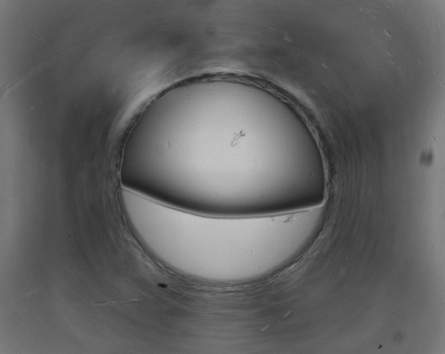 X0000093721359200710160741