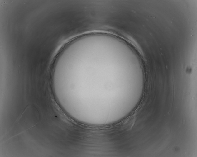 X0000093721360200710160741
