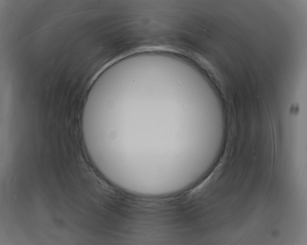 X0000093721361200710160741