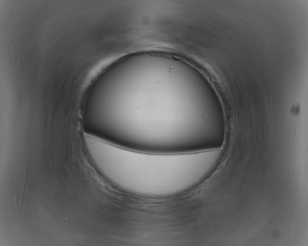 X0000093721363200710160741
