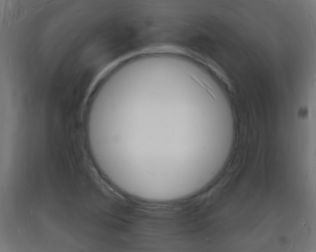 X0000093721364200710160741