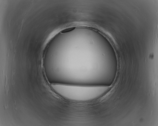 X0000093721365200710160741