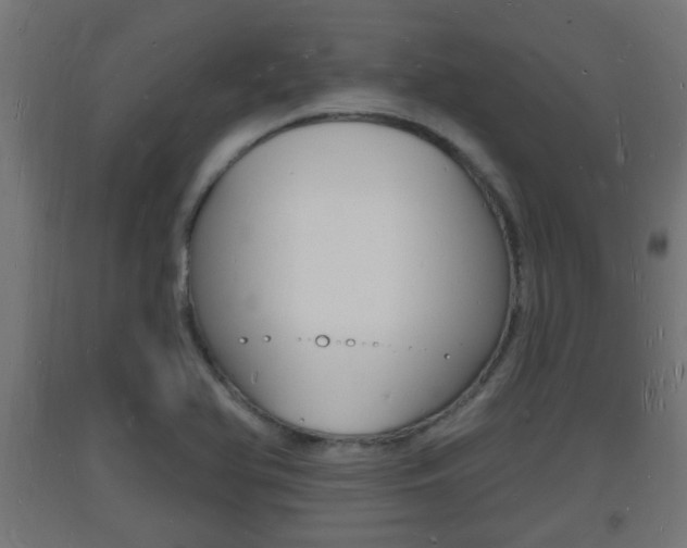 X0000093721366200710160741