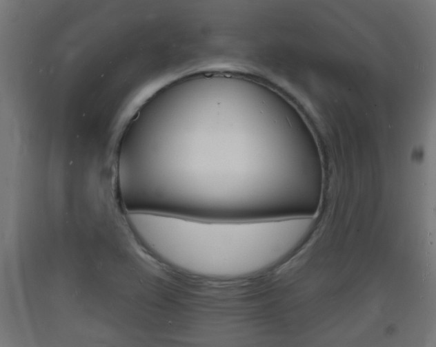 X0000093721367200710160741