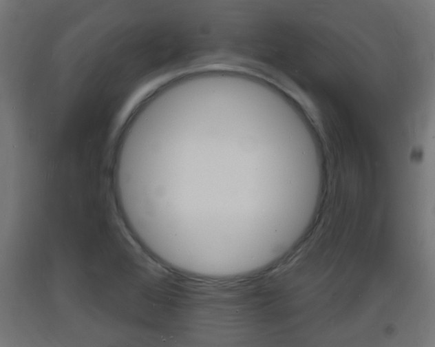 X0000093721368200710160741