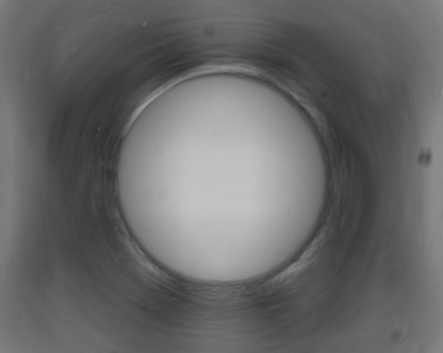X0000093721369200710160741