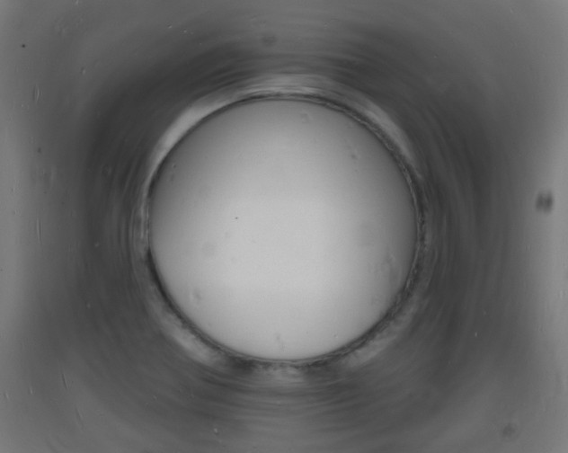 X0000093721370200710160741