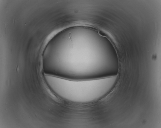 X0000093721371200710160741