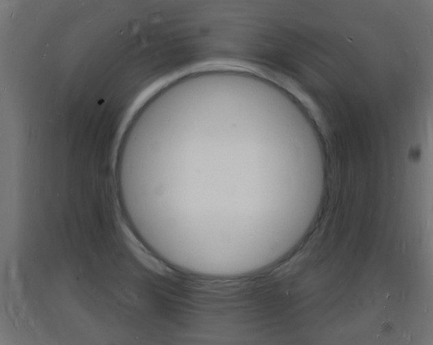 X0000093721372200710160741