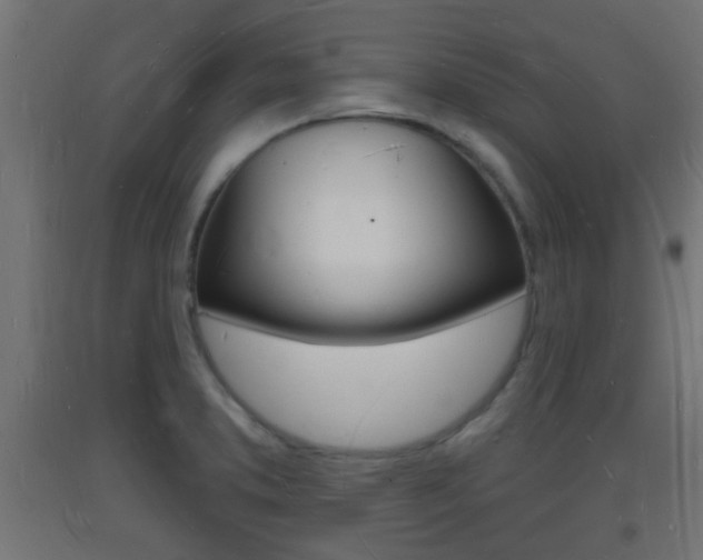 X0000093721373200710160741