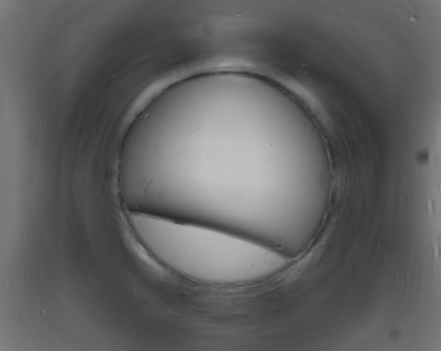 X0000093721374200710160741
