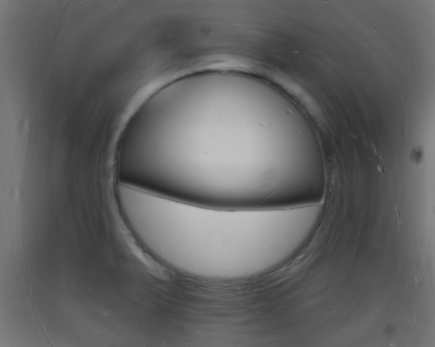 X0000093721375200710160741