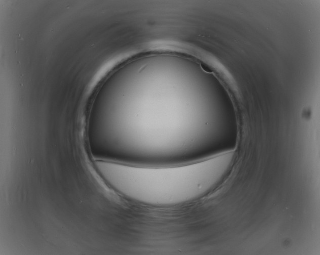 X0000093721376200710160741