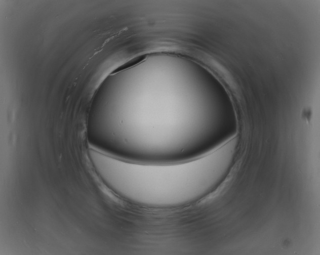 X0000093721377200710160741