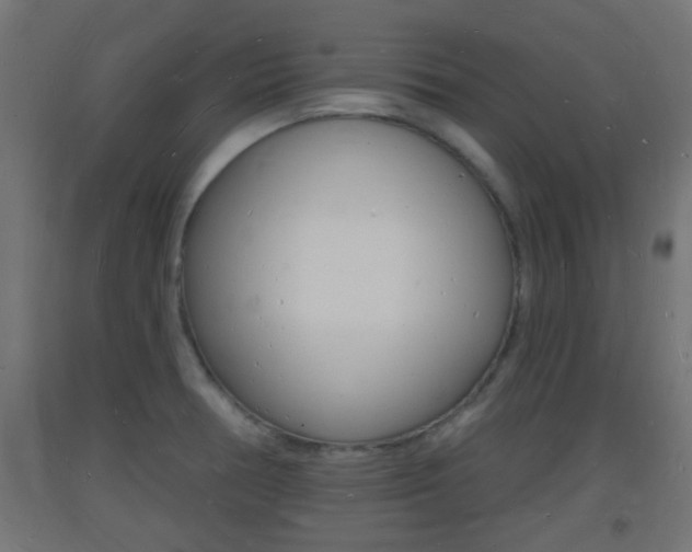 X0000093721378200710160741