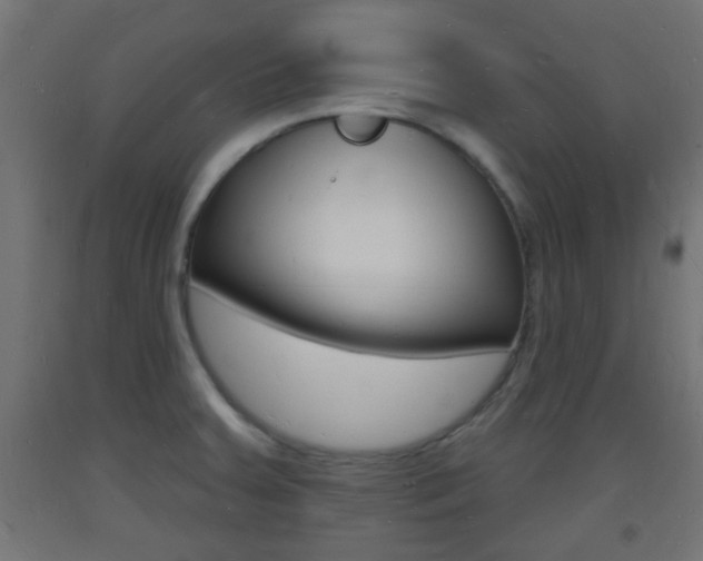 X0000093721379200710160741