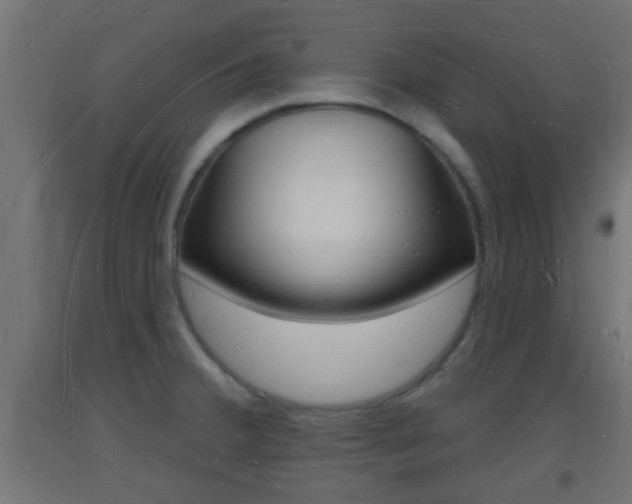 X0000093721380200710160741