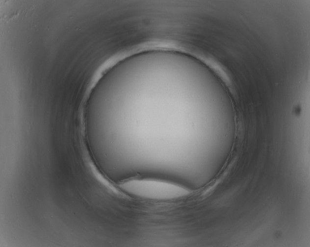 X0000093721382200710160740