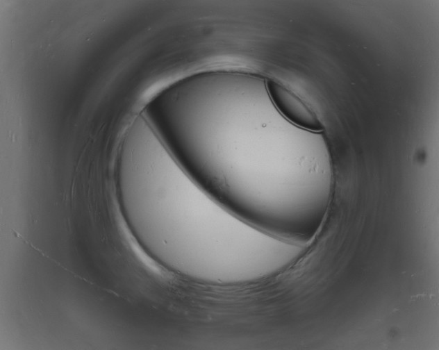 X0000093721383200710160740