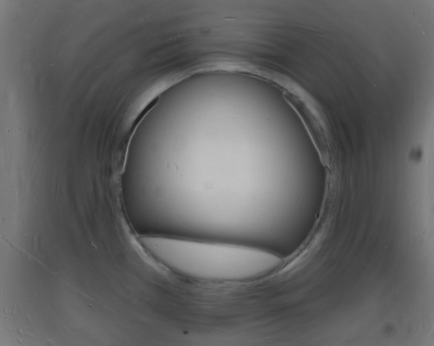 X0000093721385200710160740