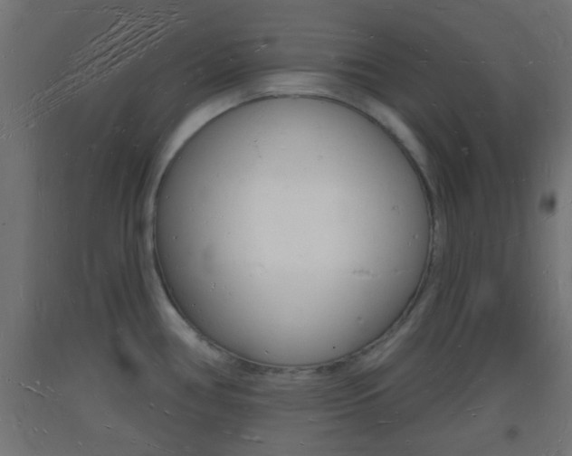 X0000093721386200710160740