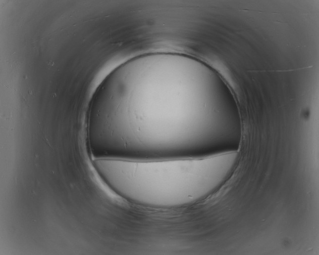 X0000093721387200710160740