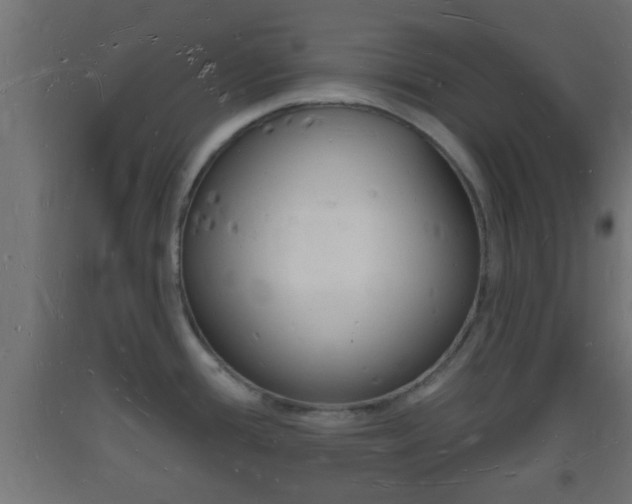 X0000093721388200710160740