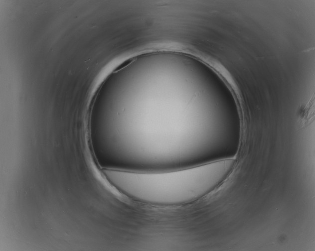 X0000093721389200710160740