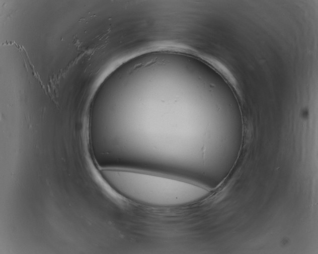 X0000093721391200710160740