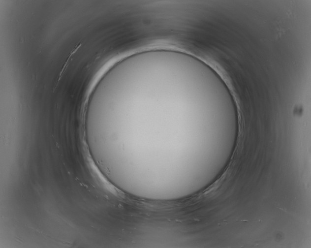 X0000093721392200710160740