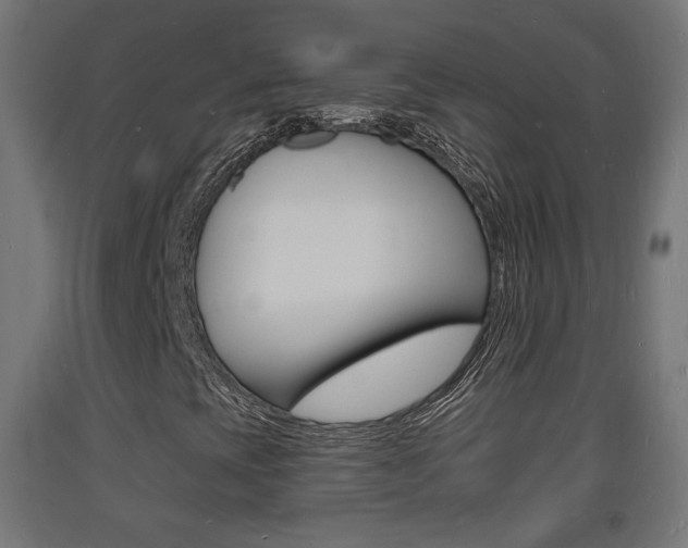 X0000093721393200710160740