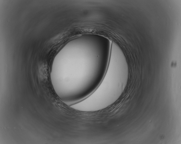 X0000093721394200710160740