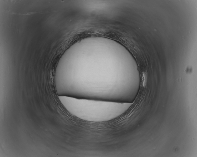 X0000093721395200710160740