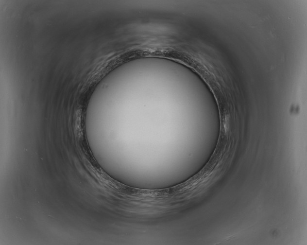 X0000093721396200710160740