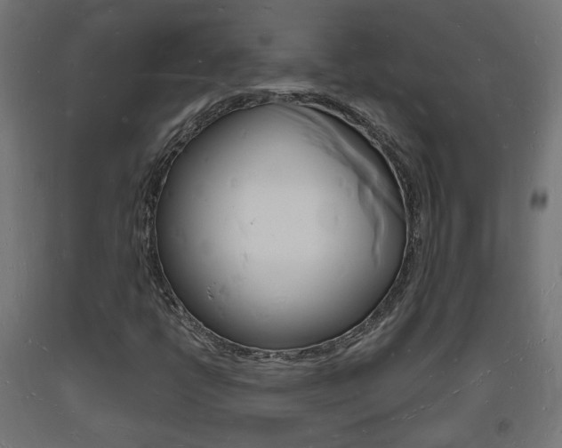 X0000093721398200710160740